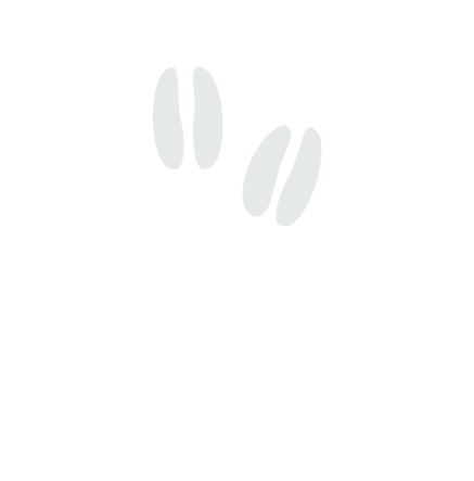 Viltdata Logo